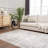 Oriental Indoor Rug-1075545399