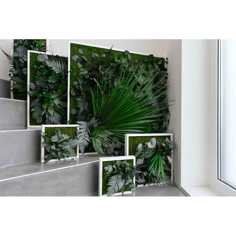 Plants & Flowers Wall Decor on Real Plants