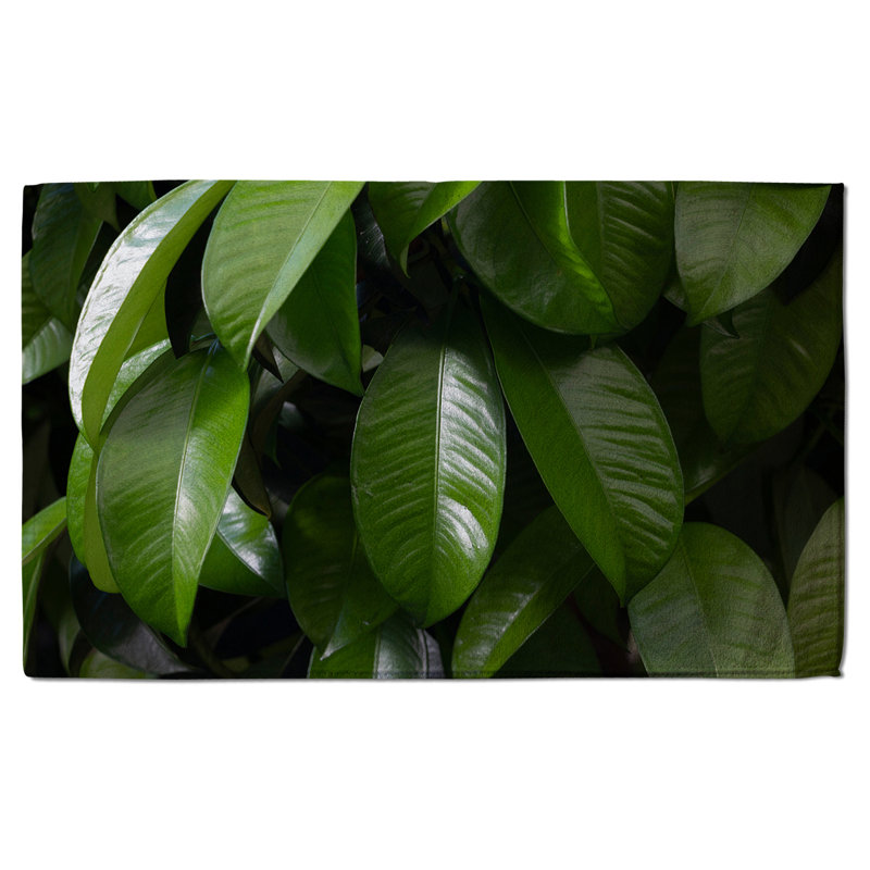 Natali Polyester Shower Curtain Set
