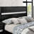 1Pc Contemporary Queen Size Bed Black Solidwood 1Pc Bed Bedroom Furniture Storage FB (Bed)