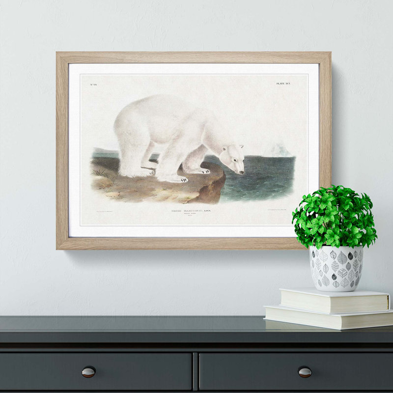 Polar Bears by J.W. Audubon - Picture Frame Painting Print, 36cm H x 48cm W x 2cm D, Oak Framed
