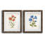 «Botanical I», ensemble de 2 reproductions d'art-271774468-271774477-271774441