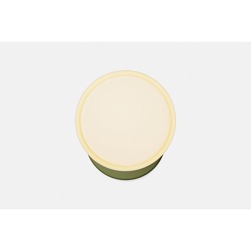 Marea Wall Sconce, Olive