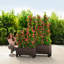 Trio Planter Box-16493116-16493114
