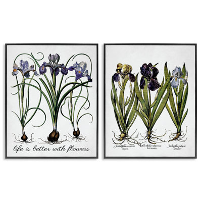Better with Flowers Iris Bulb 2 PC Framed Giclee Art Set by Lettered and Lined