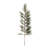 Pine Spray
