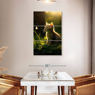 Brampt Kitten Watching Butterfly