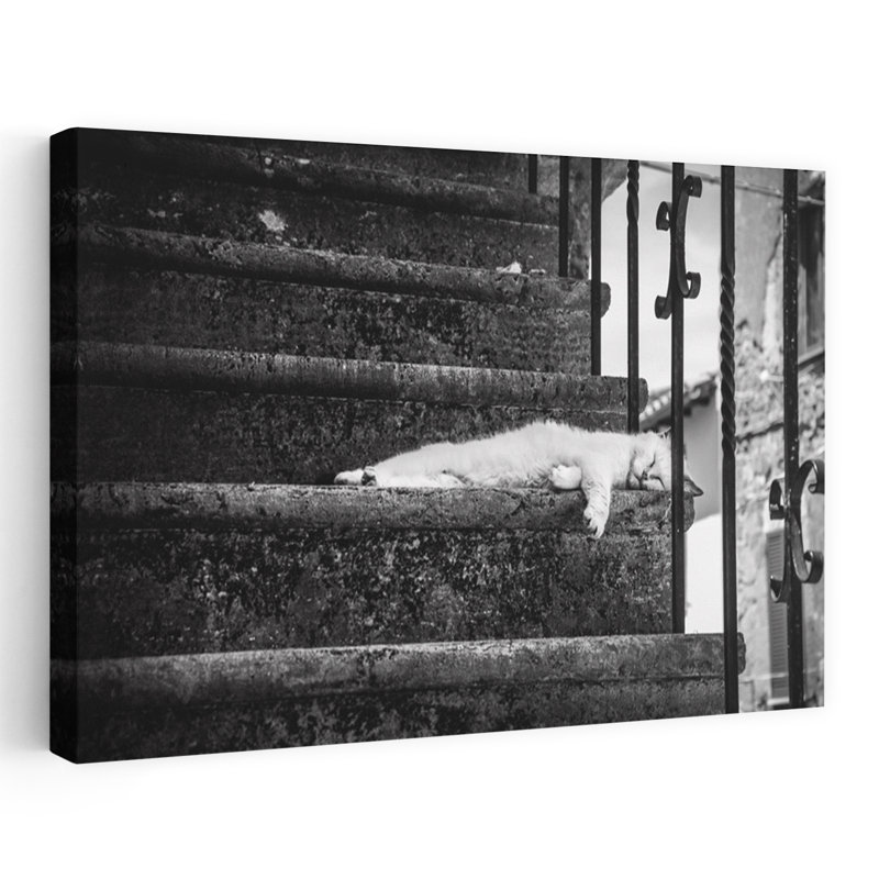 Peaceful Cat On Stairs Peaceful Rustic Serene Cat Architecture Wall Art Print by Piera Polo - Wrapped Canvas Print