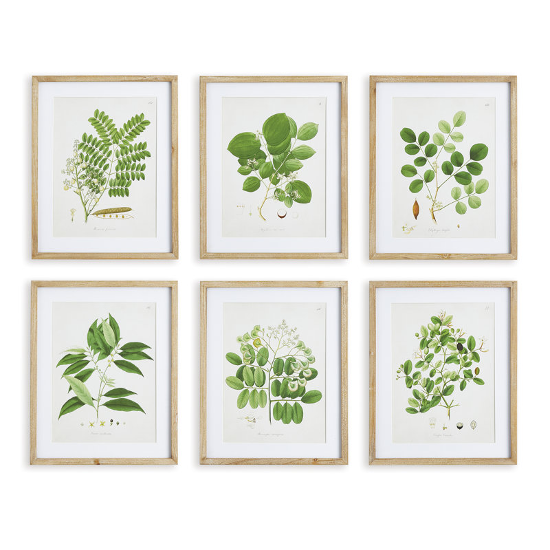 Violeta Tree Leaf - ensemble de 6 peintures encadrées
