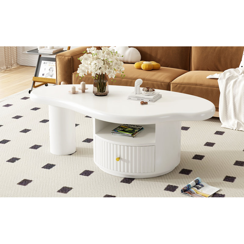 Table basse avec 1 abri et une tablette, table basse de salon pour la maison
