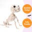 Chiot squelette articulé Posable d'Halloween complet pour la décoration d'Halloween