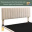 Grand lit plateforme-75608908