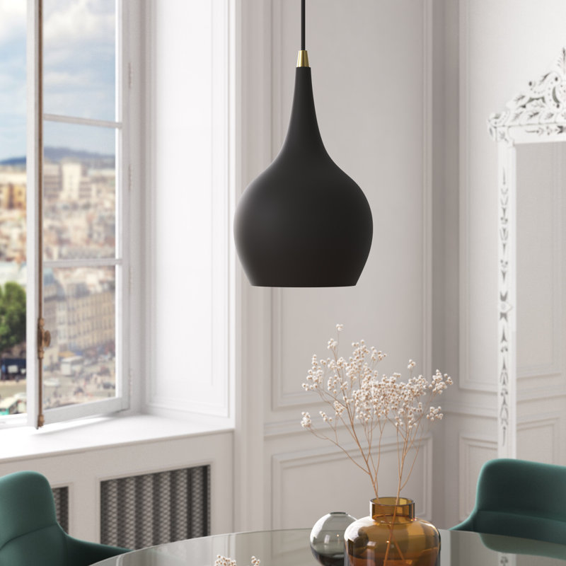 Tanna 1-Light Hardwired Steel Pendant, Black, Black