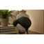 Figurine Petit Kiwi-89117058