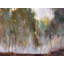 Mist In The Forest Nala Print by John Beard-631777094-631777088