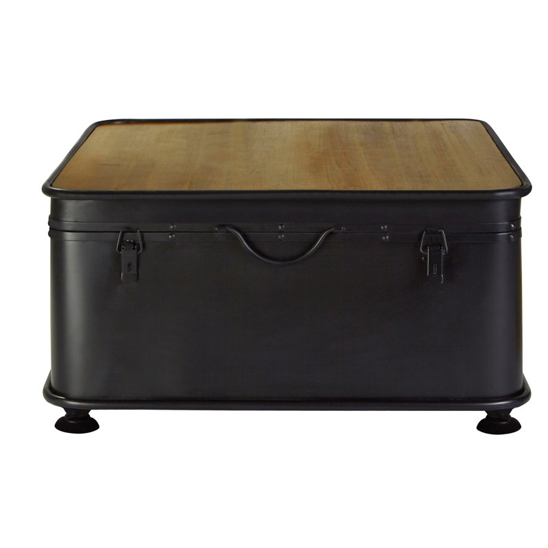 Shorney Accent Trunk
