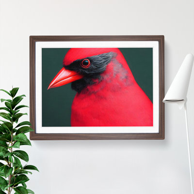 Cardinal Bird Vol.17 - Single Picture Frame Print
