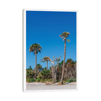 Sullivan's Island XII by Bethany Young - Print on Canvas