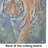 Bengal Tiger Glass Cutting Board Large