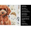 Serviette de cuisine Coffee Bar-1234934725
