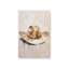 «Cowboy Essentials in Tan», ensemble de 2-467114565-467114618