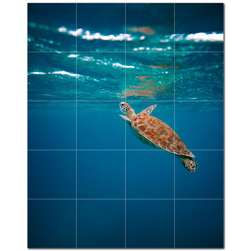 Tortue photo 8 x 8