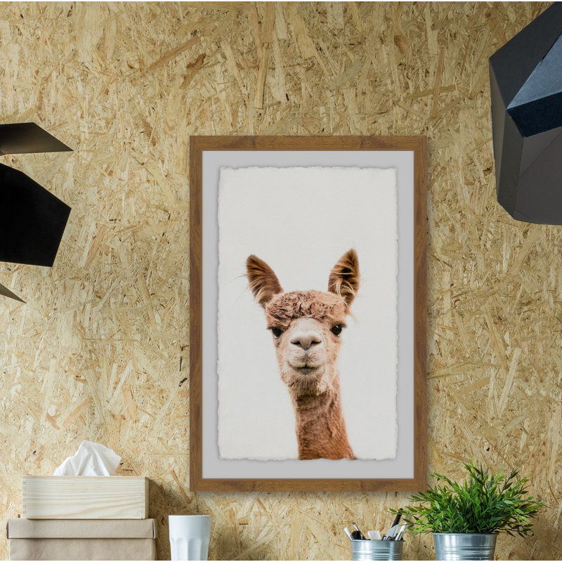 " Llama Face II ", 24" H x 16" W