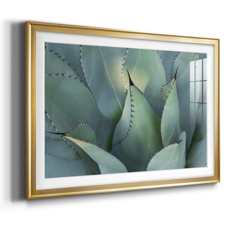 " Blue Agave I ", Gold, 19" H x 27" W x 1.5" D