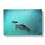 Solo Swimming Penguin In Abstract - Wrapped Canvas-55339443