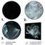 Anémone blanche transparente sur fond noir - autres plantes et fleurs-104687951-104687945