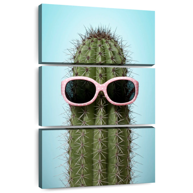 Cactus Harnek avec lunettes de soleil, H 32 po x l 20 po