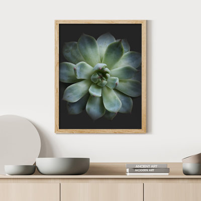 «Desert Succulent Close Up Blue and Green Lily Pad» sur papier