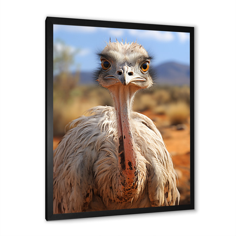 Keone, autruche africaine dans la savane, reproduction d'art sur toile, Cadre noir, H 20 po x l 12 po x P 1 po