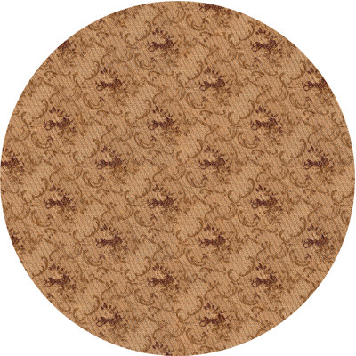 Tapis de zone brun à motif Timmothy