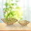 Metal Decorative Bowl Set