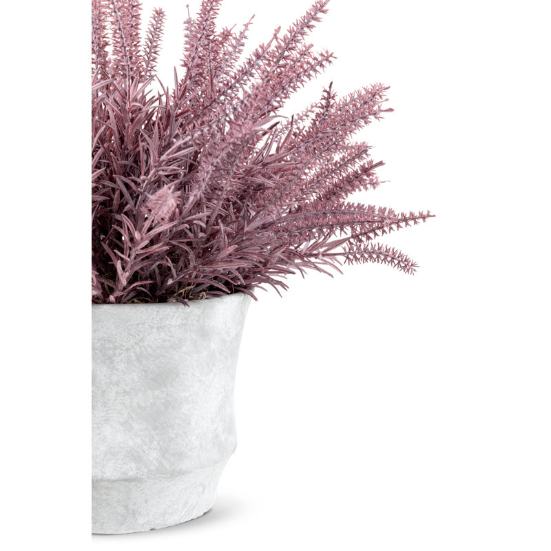 Casper Wheatgrass Arrangement