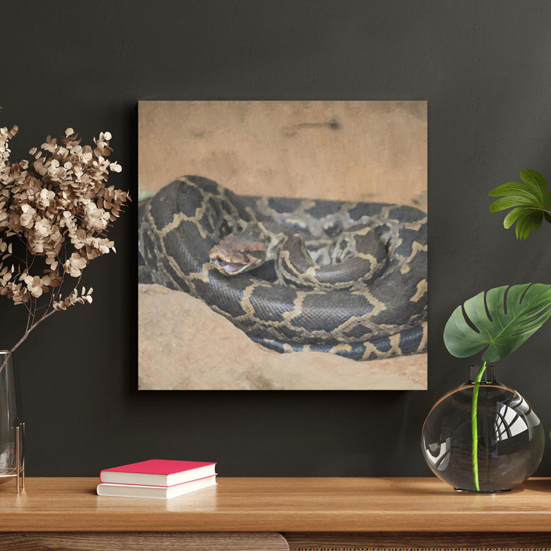 A Python Curling Up - peinture sur toile tendue, H 32 po x l 32 po