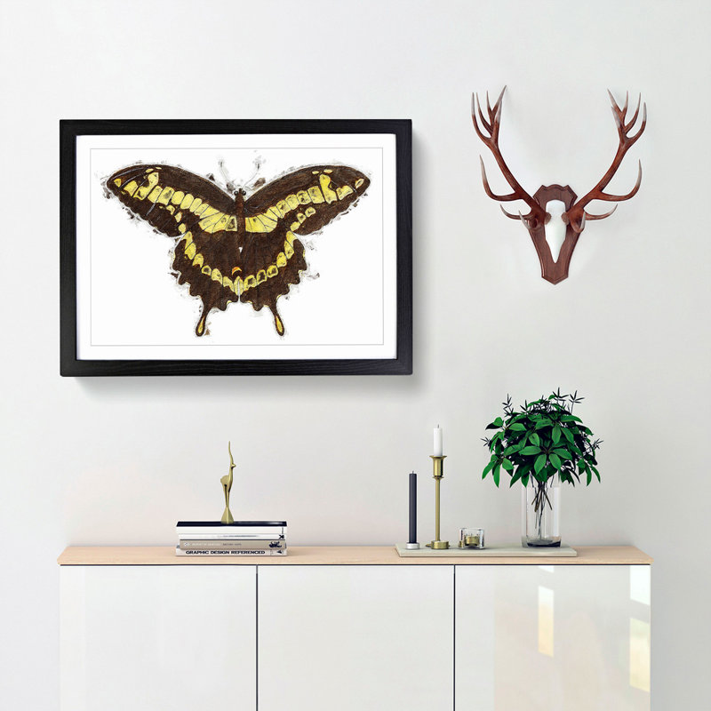 A Papilio Butterfly by George Shaw - Single Picture Frame Painting, Black Framed, 24cm H x 33cm W x 2cm D