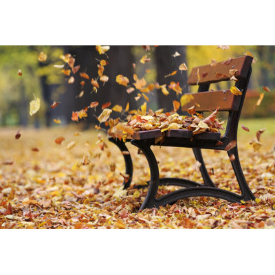 Ketara " Bench In Autumn Park " by Fotorince