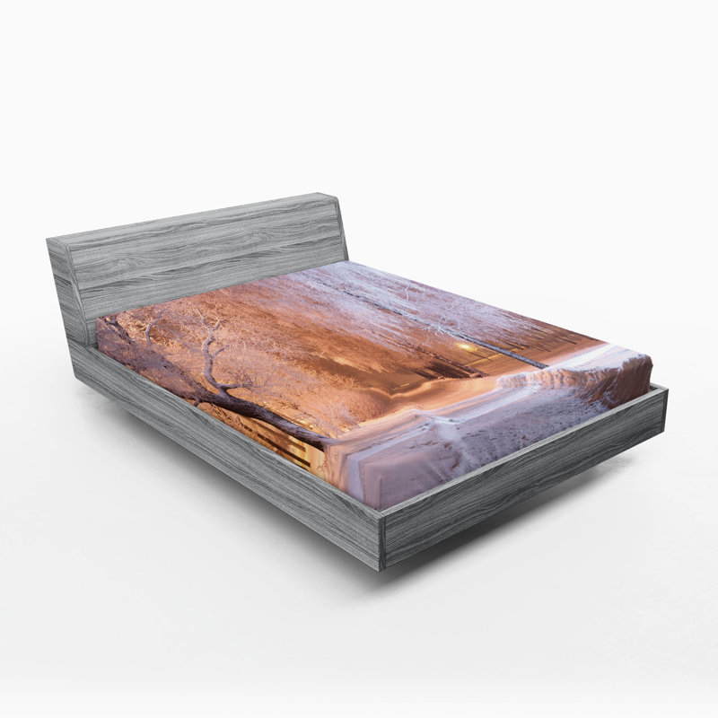 Ensemble de 2 draps-housse Ambesonne Winter Night Frozen Trees Salmon, Drap-housse très grand californien