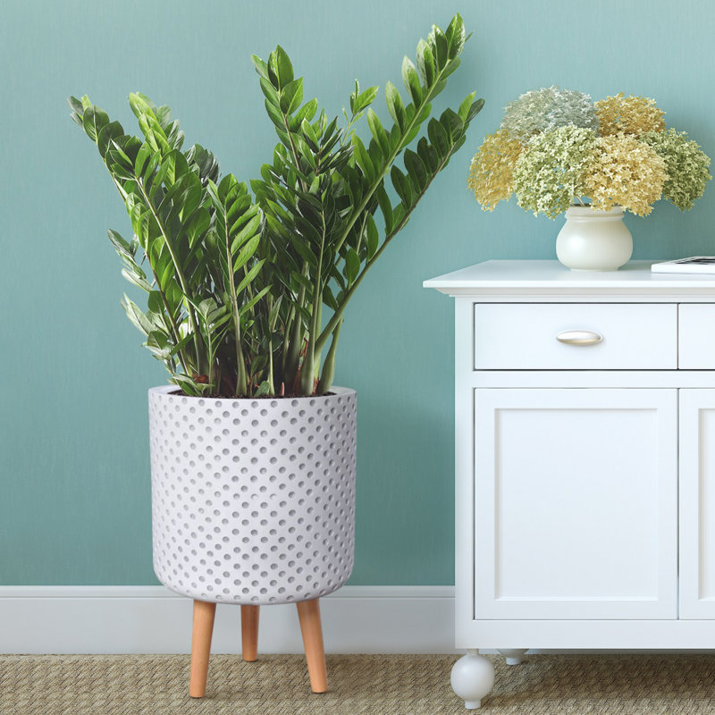 Dotted Style Cylinder Planter with Feet Concrete Effect Cylinder Round Planter on Hardwood Legs, Round Indoor Plant Pot Stand for Indoor Plants, Indoor Flower Pot with Dotted Pattern