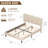 Calil Queen Size LED Bed Frame with Adjustable Button-Tufted Headboard, Upholstered Velvet Platform Bed Frame with Charging Station, Mattress Foundation, Wood Slat Support, No Box Spring Needed-107806328-107806214