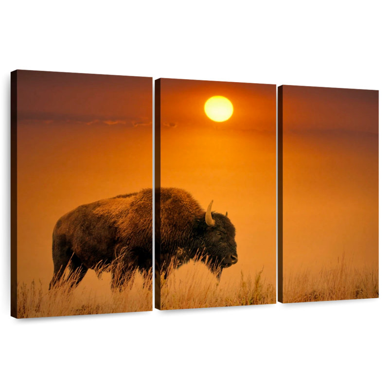 Brampt Bison Sunrise, 24" H x 38" W