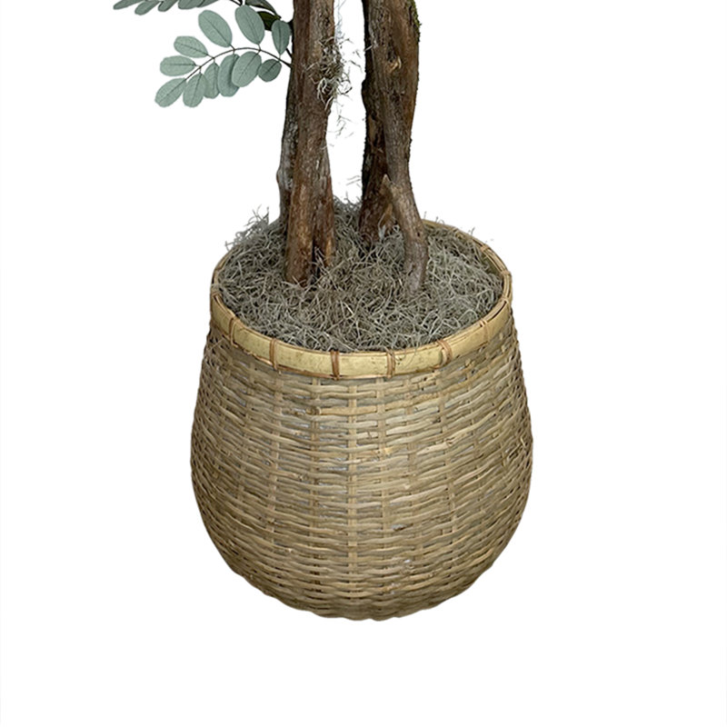 Organic Modern 4.5' Faux Moringa Tree