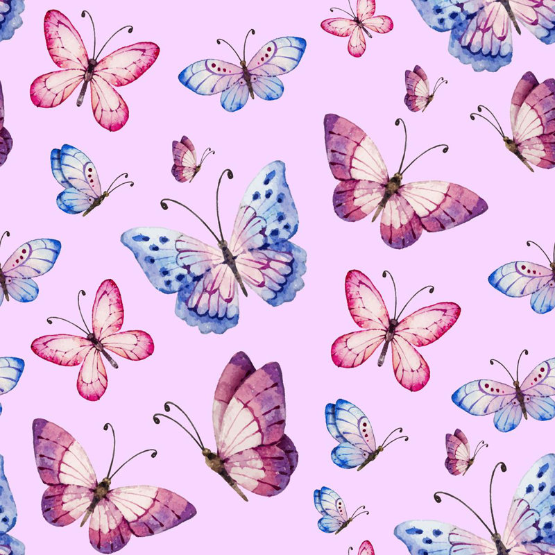 Rouleau de papier peint auto-adhésif L 8,5 pi x l 24 po Lingenfelter Butterflies