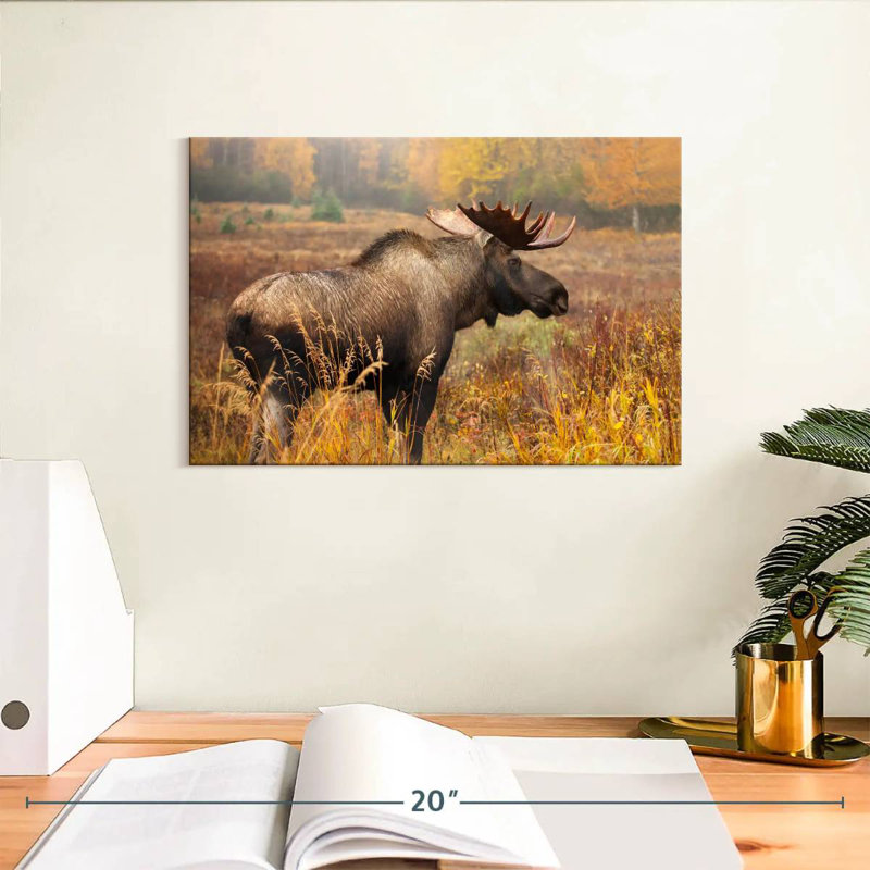 Crowle Mighty Alaskan Moose, H 8 po x l 12 po
