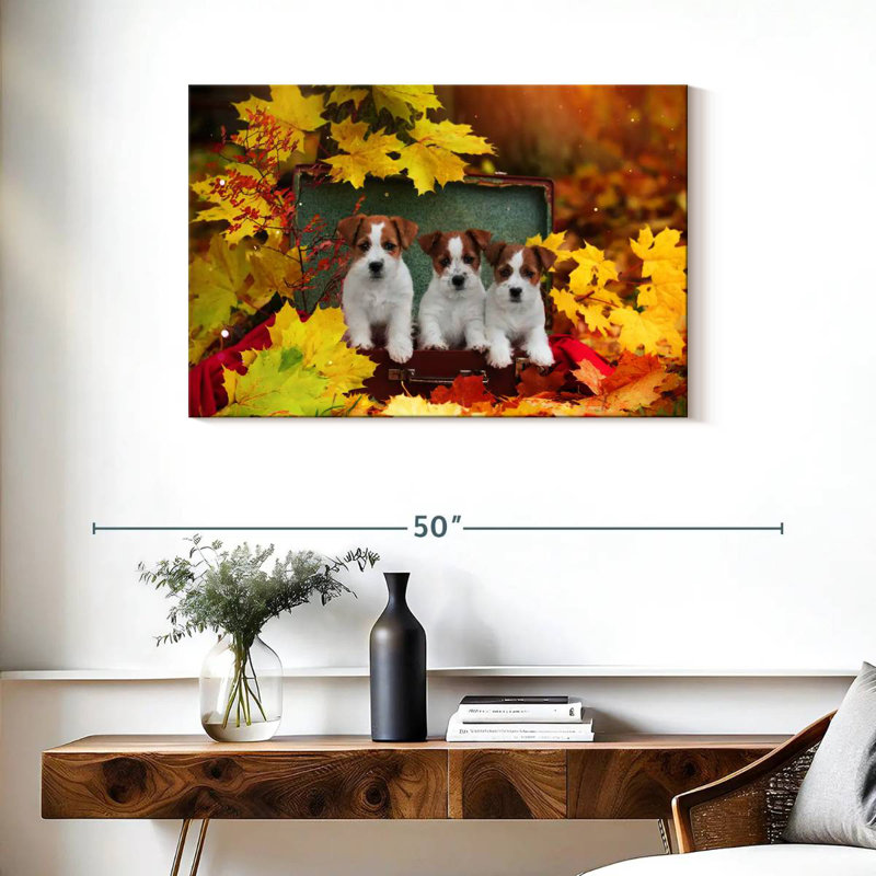 Chiots d'automne Brampt