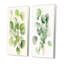 «White Green Minimalisme» Eucalyptus Essence VI - ensemble d'art mural floral de 2 pièces-1675569687-1675569684