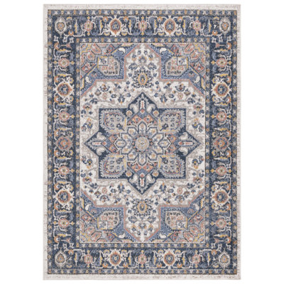 Astoria Performance Oriental Rug
