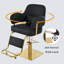 Fauteuil de massage pivotant rembourré pour salon et beauté